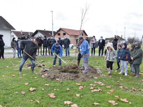 Posadili 15 stabala javora i žutoga kestena