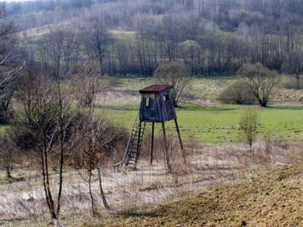 Objavljen Javni poziv za dodjelu potpora udrugama u području lovstva i ribarstva