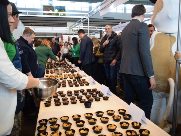 19. Gospodarski sajam sira, meda i vrganja ispunio sva očekivnja ! 19. Gospodarski sajam sira, meda i vrganja ispunio sva očekivnja !