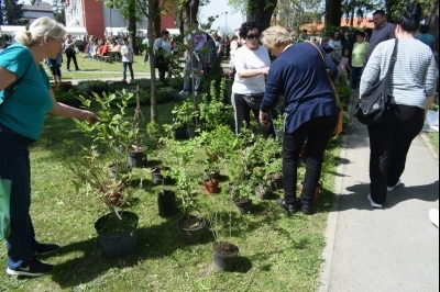 Sajam sadnica i cvijeća 2024.