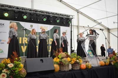 19. Gospodarski sajam sira, meda i vrganja