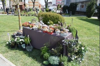 3. Sajam sadnica i cvijeća