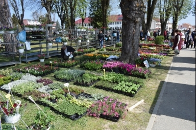 3. Sajam sadnica i cvijeća