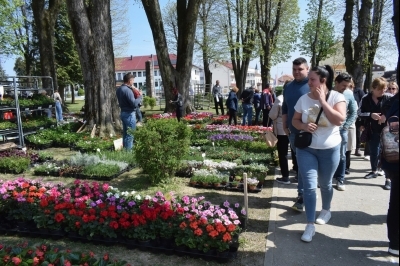 3. Sajam sadnica i cvijeća