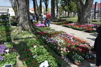 3. Sajam sadnica i cvijeća