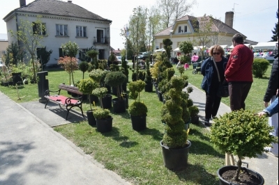 3. Sajam sadnica i cvijeća