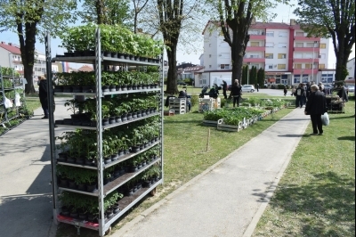 3. Sajam sadnica i cvijeća