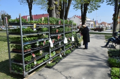 3. Sajam sadnica i cvijeća
