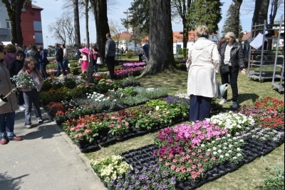 3. Sajam sadnica i cvijeća