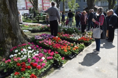 3. Sajam sadnica i cvijeća
