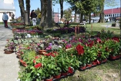 3. Sajam sadnica i cvijeća