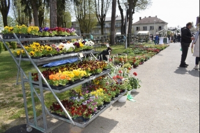 3. Sajam sadnica i cvijeća