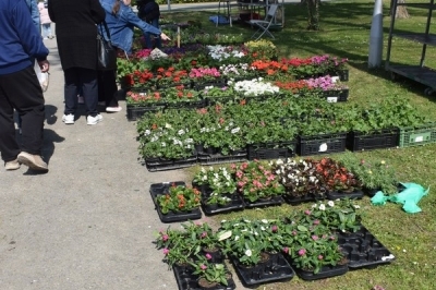 3. Sajam sadnica i cvijeća